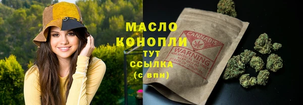 МДПВ Карпинск