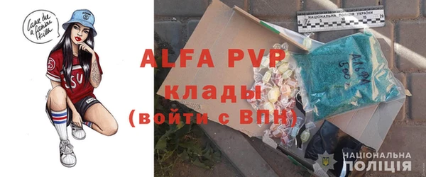 ГАЛЛЮЦИНОГЕННЫЕ ГРИБЫ Каменка