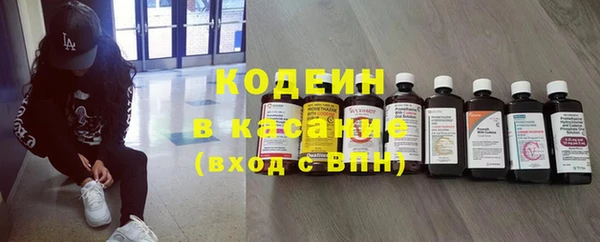 ГАЛЛЮЦИНОГЕННЫЕ ГРИБЫ Каменка