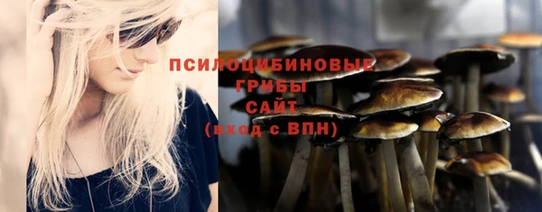 синтетический гашиш Каменногорск