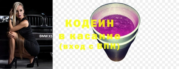 ГАЛЛЮЦИНОГЕННЫЕ ГРИБЫ Каменка