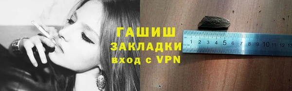 ГАЛЛЮЦИНОГЕННЫЕ ГРИБЫ Каменка