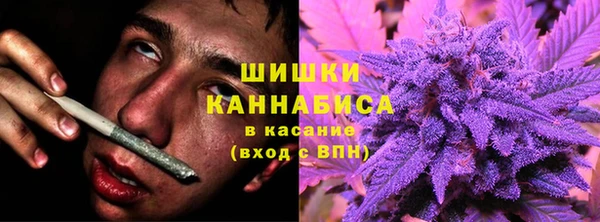 МДПВ Карпинск
