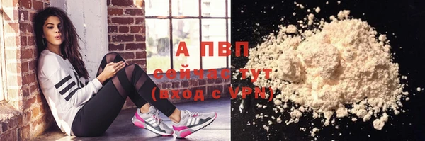 ГАЛЛЮЦИНОГЕННЫЕ ГРИБЫ Каменка