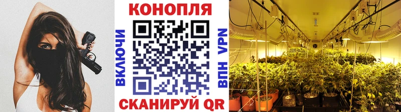 Бошки Шишки AK-47  Тейково 
